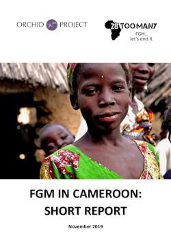 FGM/C in Cameroon: Short Report (2019, English)